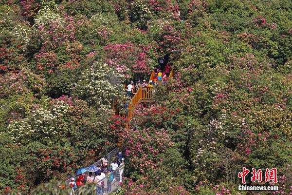 沙石镇时光精炼设施怎么操作