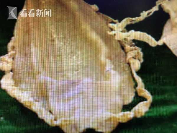 咩咩启示录全流程全结局视频攻略