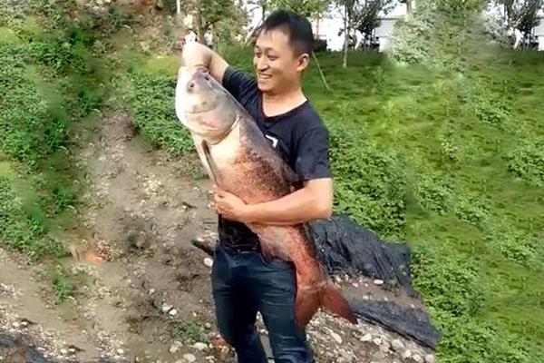 狩猎之道不同区域的狩猎许可怎么获得