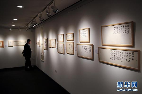 全面战争特殊兵种是什么