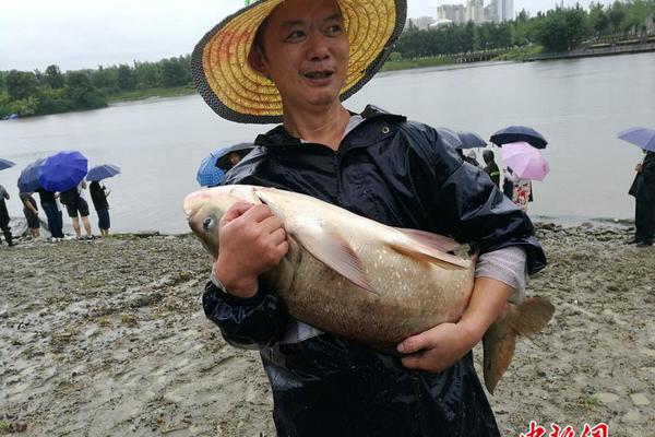 原神风来人剑斗绮谭什么时候开启